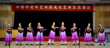 中韩中老年艺术团文化艺术交流演出活动纪实